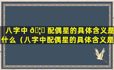 八字中 🦈 配偶星的具体含义是什么（八字中配偶星的具体含义是 🌾 什么意思）